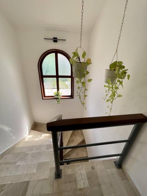 Вилла Beautiful Jungle House On A Strategic Location Канкун Экстерьер фото